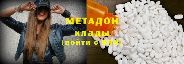 индика Михайловск