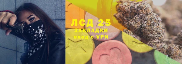 индика Абаза