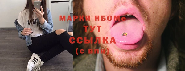 индика Абаза