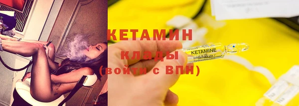 индика Михайловск
