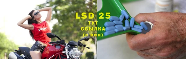 индика Абаза