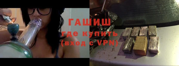 индика Михайловск