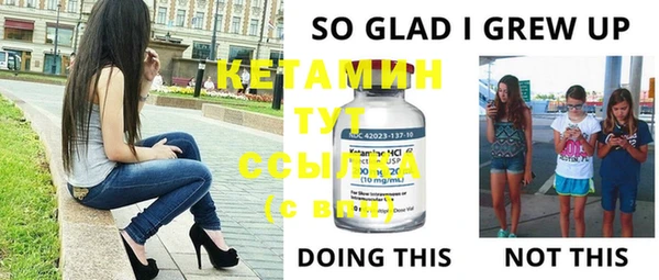 индика Михайловск