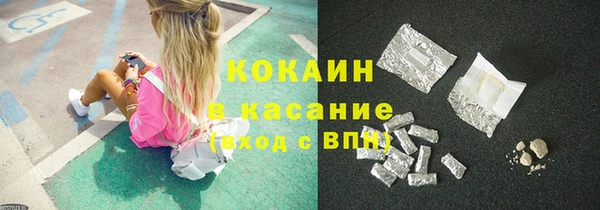 индика Абаза