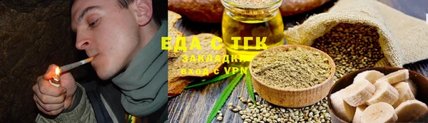 индика Михайловск