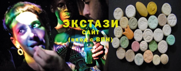 индика Михайловск
