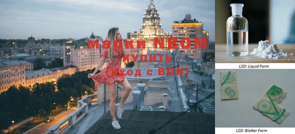 индика Михайловск